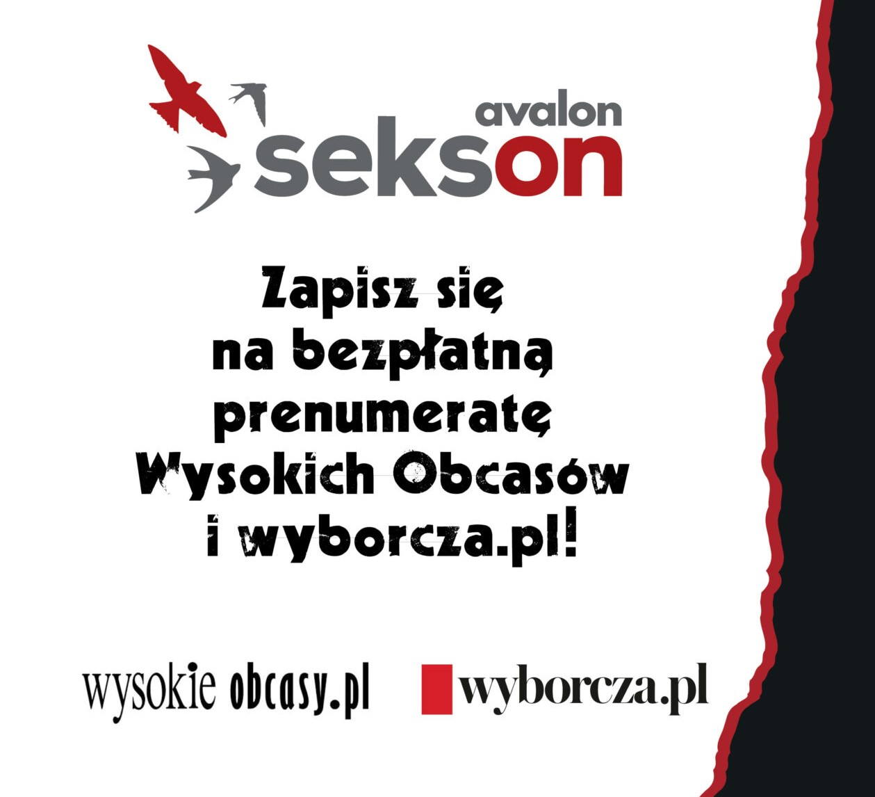 Na grafice logotyp projektu Sekson, wysokich obcasów i wyborcza.pl i napis Zapisz się na bezpłatną prenumeratę Wysokich Obcasów i wyborcza.pl!